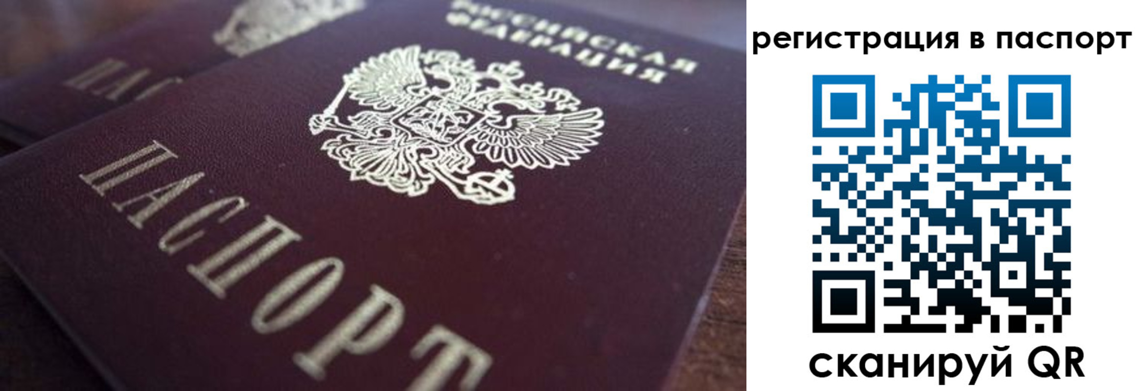 прописка 2025 в Петровске